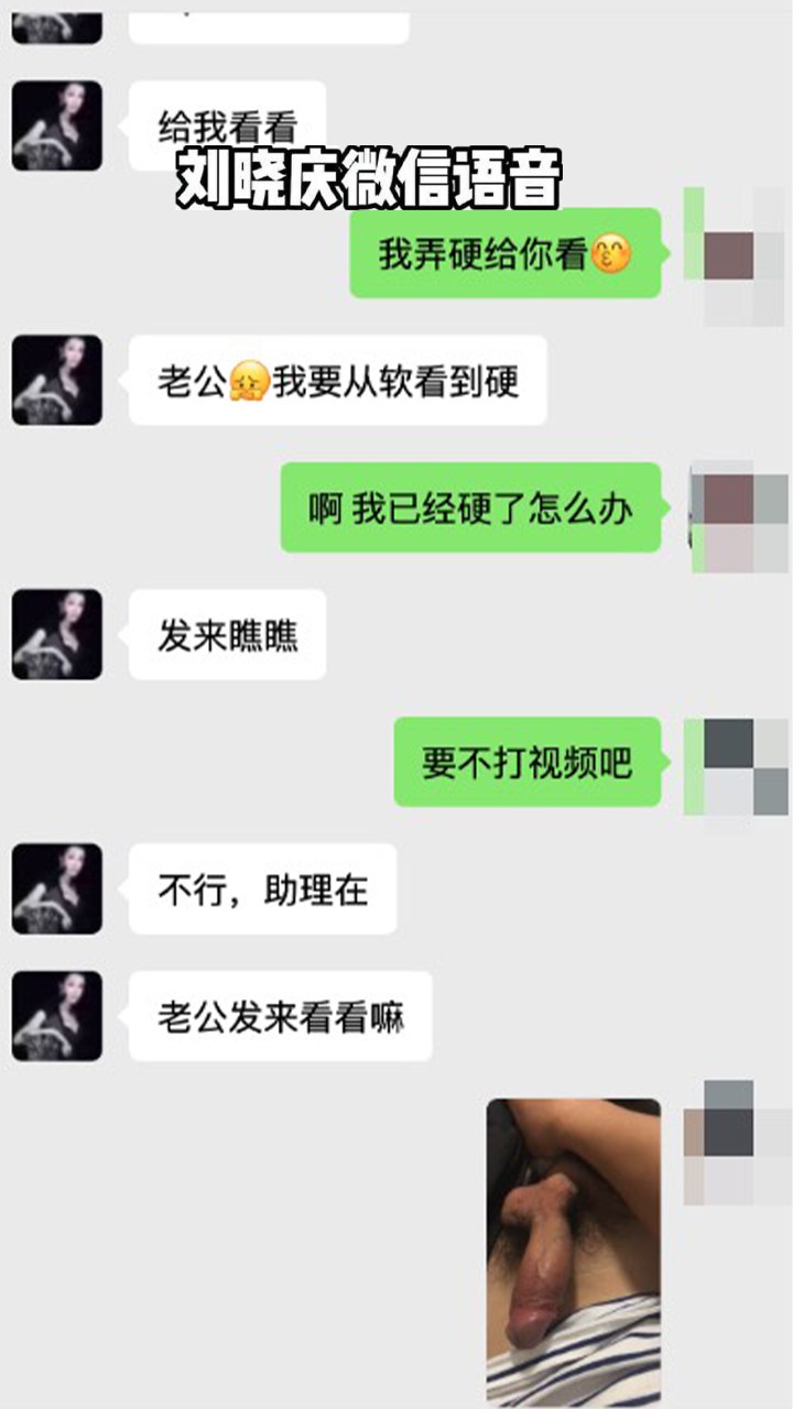 刘晓庆和小奶狗炸裂微信内容曝光 70多岁了还能吸土 要小男友把子弹留给她 图8