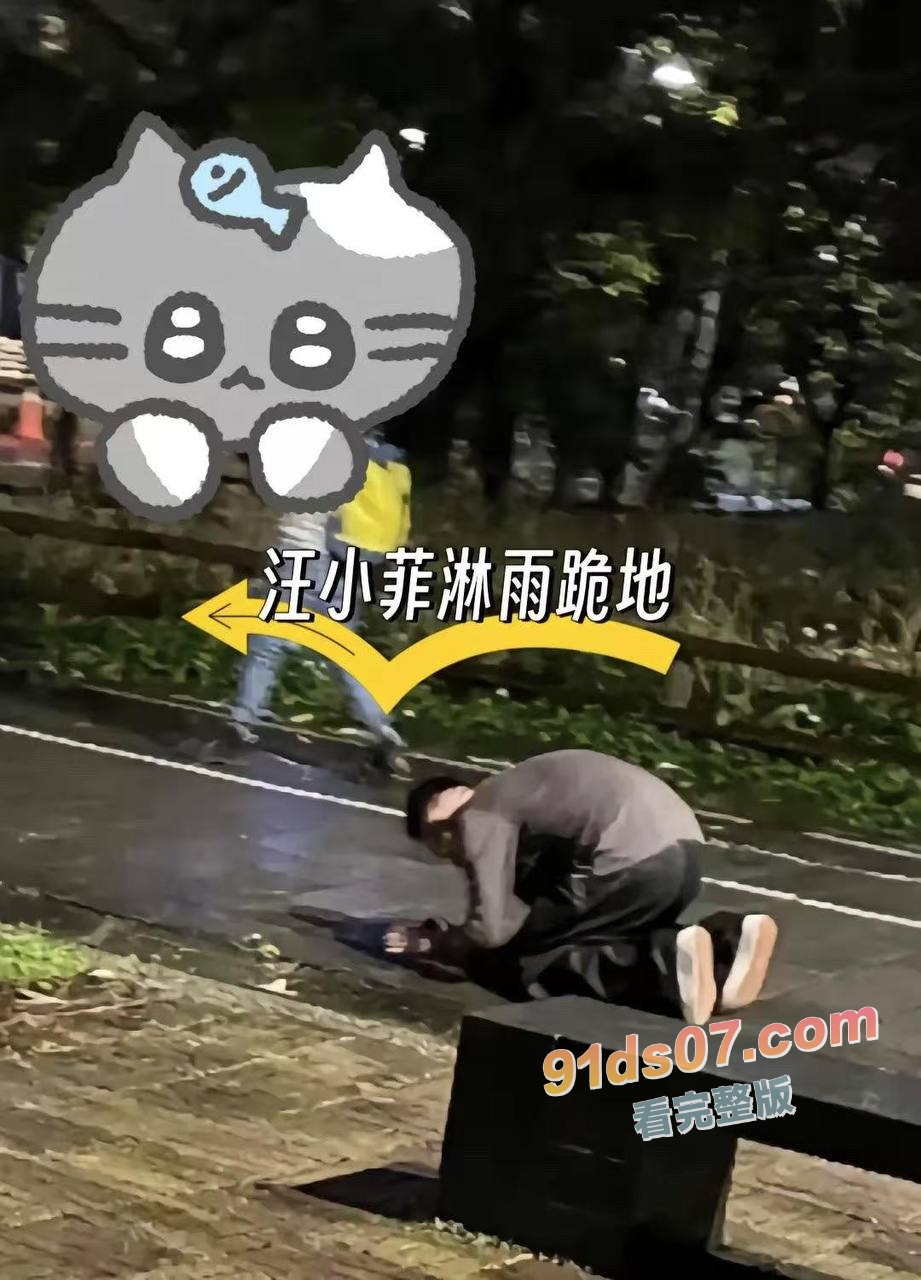 汪小菲与大S事件焦点逐渐上升 汪小菲结婚第二年就出轨 前任张颖颖发四千字作文怒怼汪小菲！ 图16
