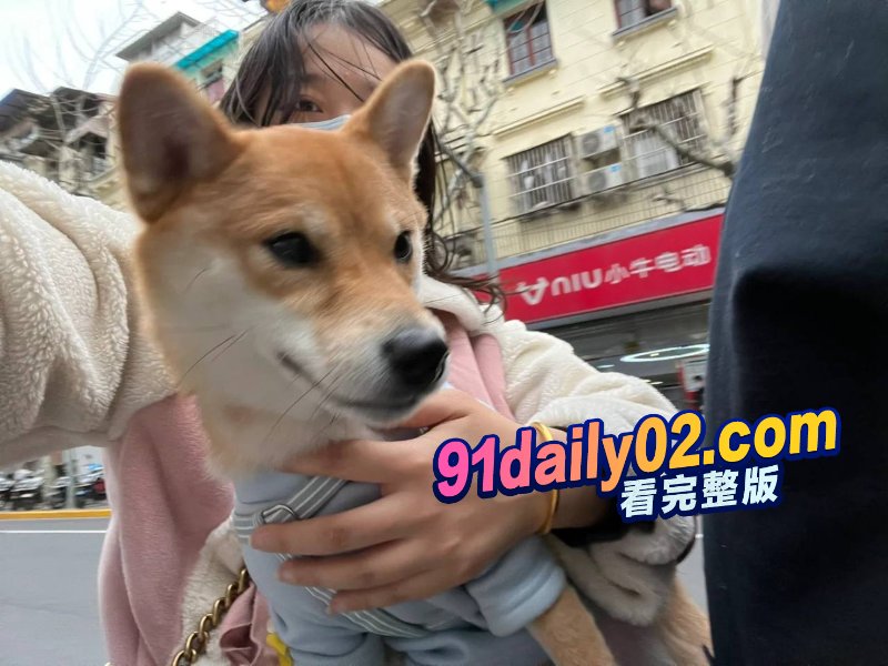 宠妻脱口秀演员邱瑞被曝是约炮大神 彻底塌房 用约炮软件走到哪约到哪 图15
