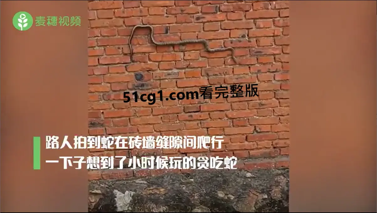 3D版“贪吃蛇”