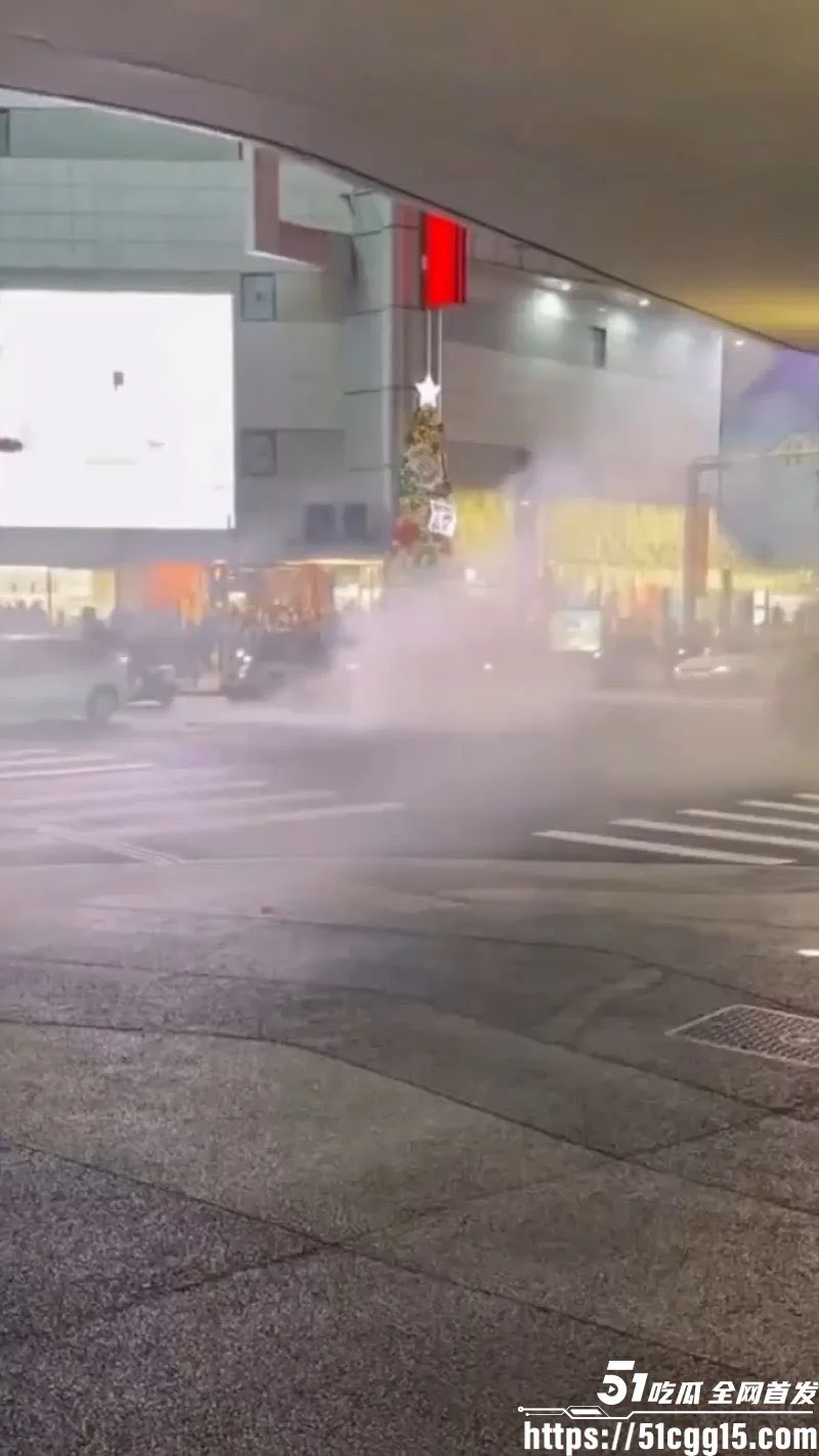 台北捷运惊魂!27岁通缉犯张文投烟雾弹随机砍人 酿3死6伤 从台北车站杀到中山诚品 围捕后跳楼身亡!