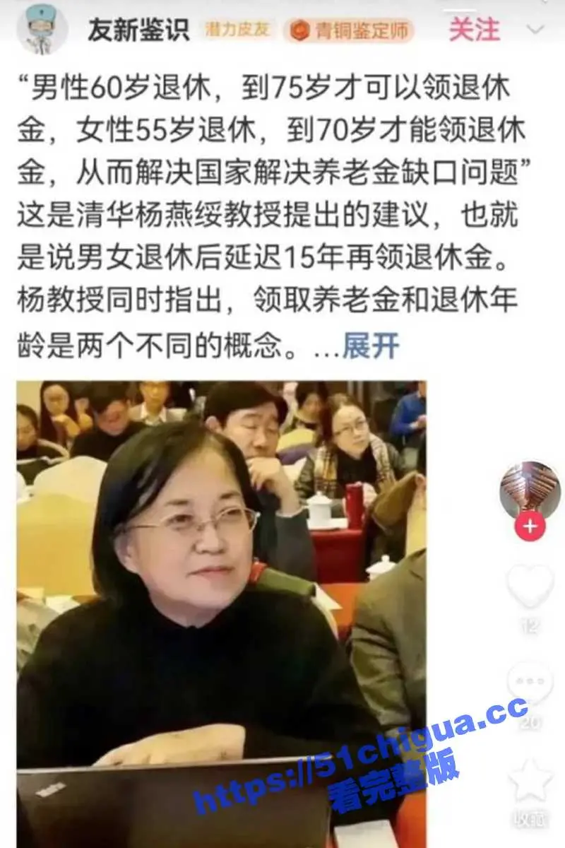 清华大学 杨燕绥 教授建议养老金领取延迟15年,减轻国家的养老资金压力这15年外出打工赚取生活费!