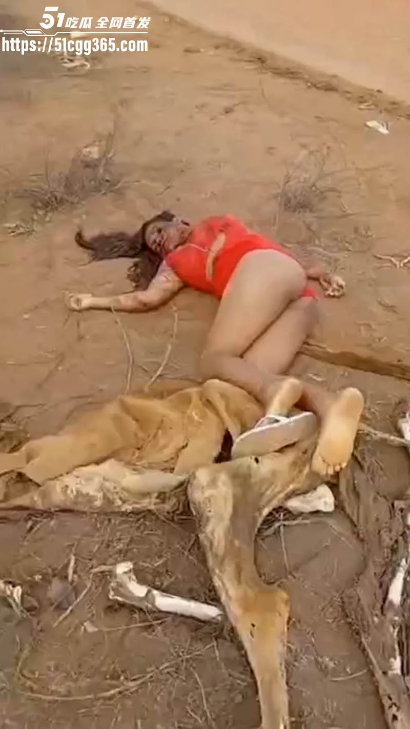 胆小者慎入!巴西路边血腥噩梦 北部湾州美女割喉弃尸 红衣裹尸身浸血泥 喉管撕裂喷涌热血!