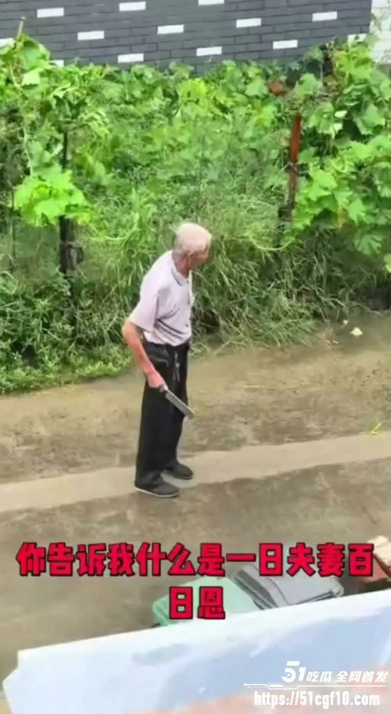 浙江白发老登 雨中持刀企图杀妻 这就是世人口中的爱情?