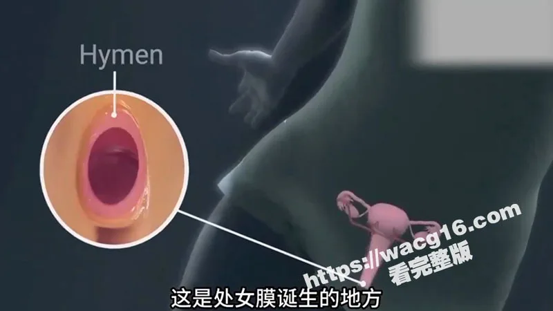 瓜友科普时间到!一起来了解女性神秘处女膜的生理构造与神奇存在意义吧!