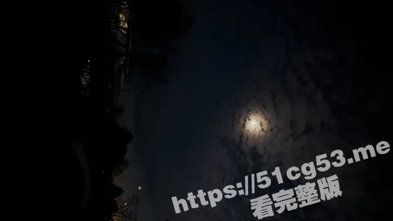 2024日全食科技新发现 钻石环日珥与日冕奇观 揭开太阳神秘面纱！