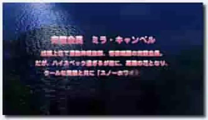 18禁アニメ PORO おいでよ！私立ヤリまxり学園 「おしめっ娘JK・静流～お漏らし緩む尻穴ビーズ」 1280x720 x264 AAC 3 new