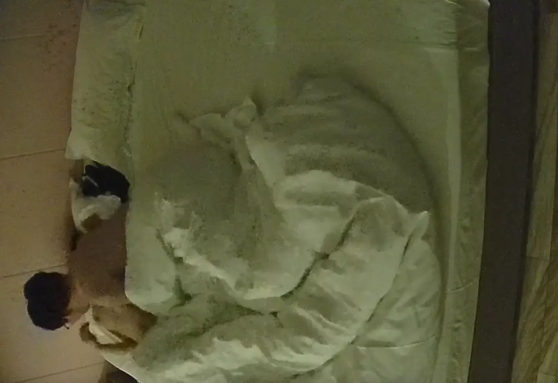 公寓酒店 5-30 身材高挑苗条的美女穿上白丝给男友操 逼助兴 晚上一炮白天一炮 后入时被撞得奶子乱甩
