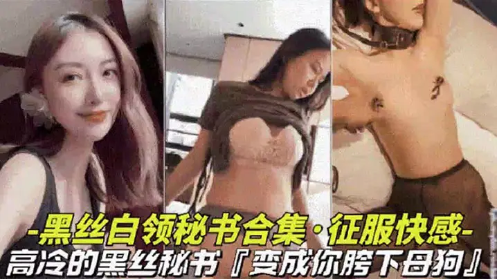 【黑丝白领秘书大合集】高冷黑丝秘书变成胯下母狗视觉上的享受