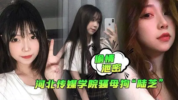 偷情泄密河北传媒学院骚母狗陆芝背着男友.和其兄弟进行3P前后夹击淫荡十足