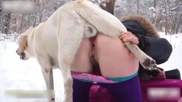 美女冰天雪地里与公狗交配