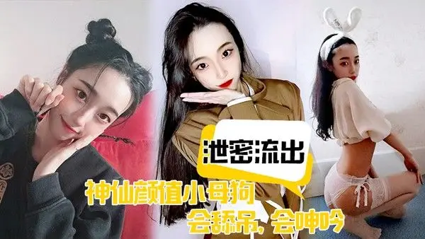 泄密流出神仙颜值小母狗会舔吊会呻.吟无套插入后艹爽了便是臣服