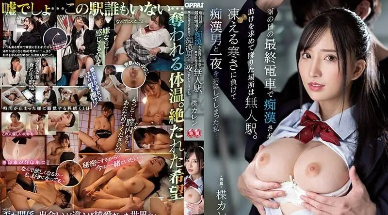 PPPE-133 雨天末班车,我下车求助的地方是无人车站。熬过严寒和变态男人共度一夜……结羽花莲