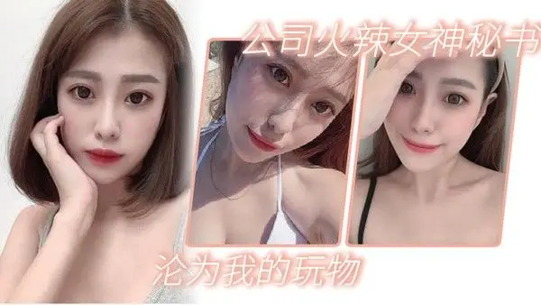 公司火辣女神秘书沦为我.的玩物