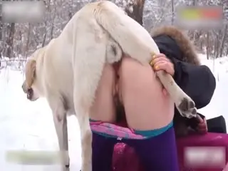 【人兽杂交】-美女冰天雪地里与公狗交配.关注..主页更精彩..