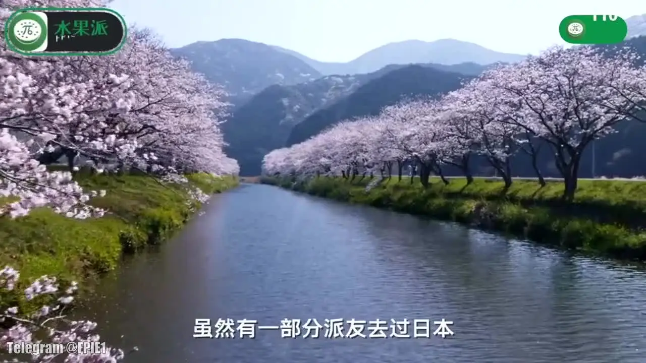 最新精品大片约会极品良家少妇