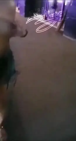 顶级核弹!推特极品颜值尤物▌Exhib▌绝美女神都是有钱人玩的私人宠物 完美整理户外露出篇2V1
