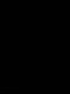 [Zendamu]_[MP4]