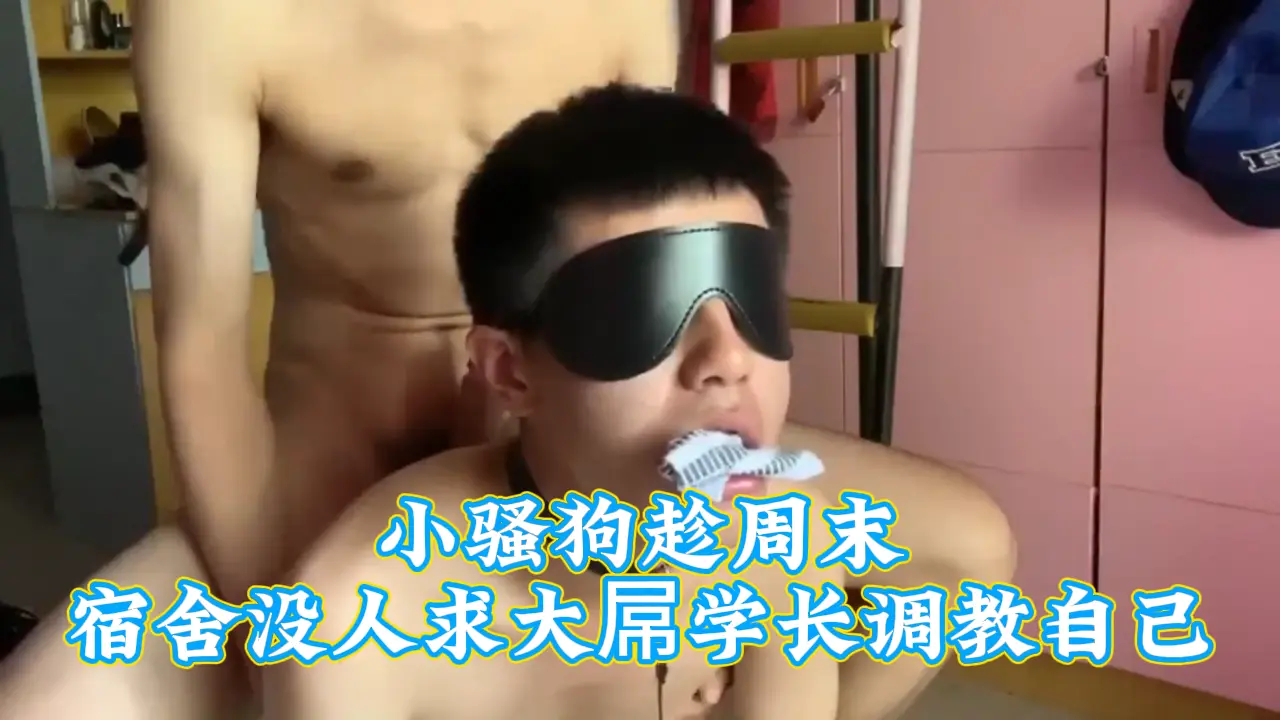 周末无人宿舍,骚狗学妹跪求大屌学长狂干调教