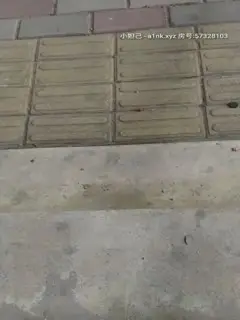足疗店小粉灯_啪啪_20210216