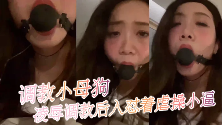 调教小母狗凌辱调教后入怼着虐操小逼.