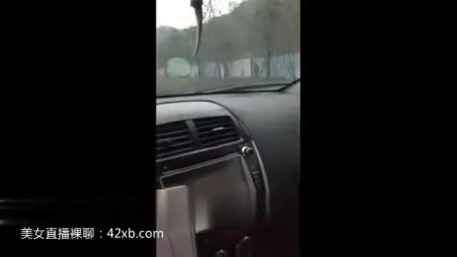 車震 new