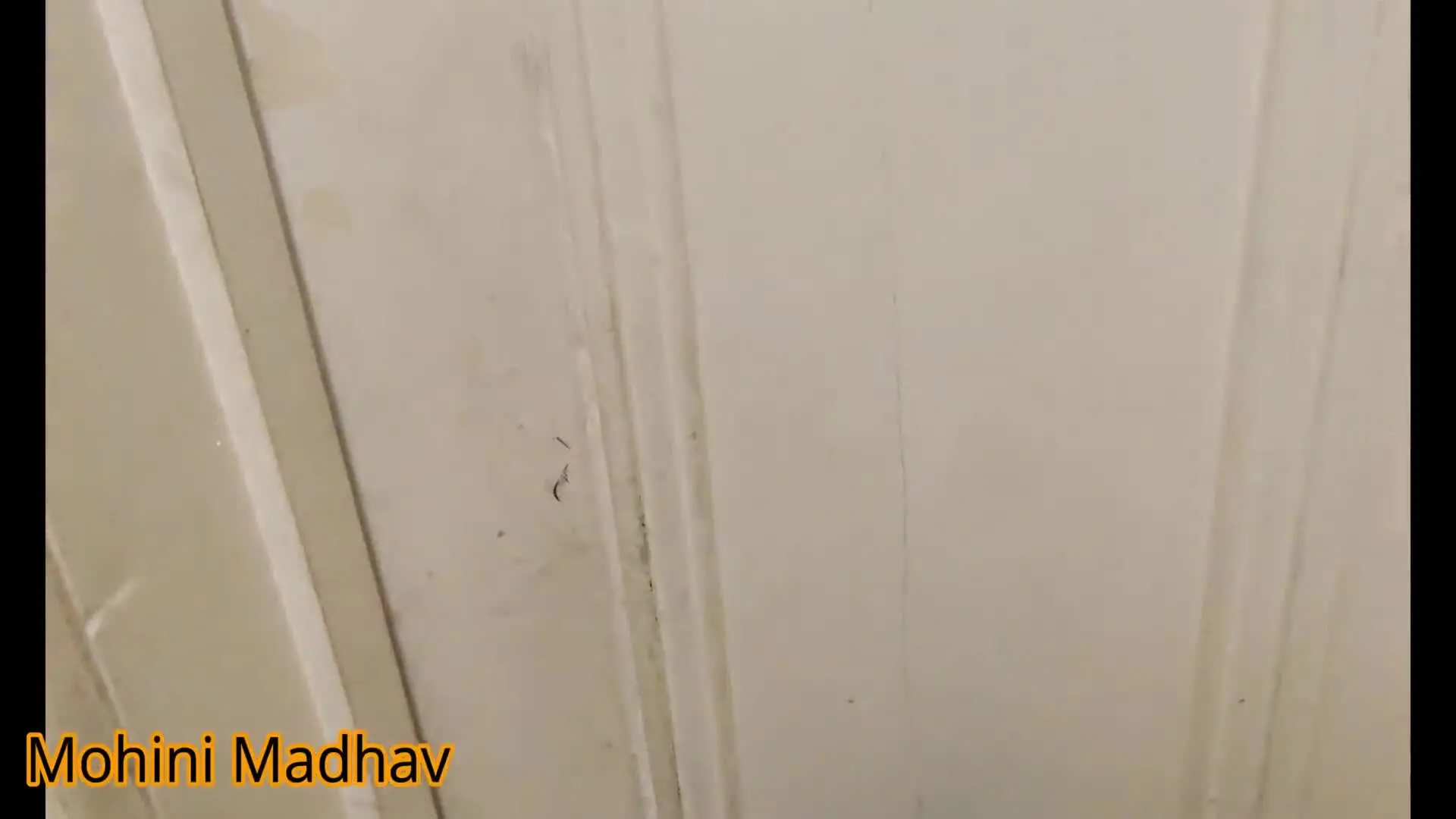 Bhaiya, who collects money, sees his sexy sister-in-law alone in the house and fucked hard her Hindi Audio-64830753