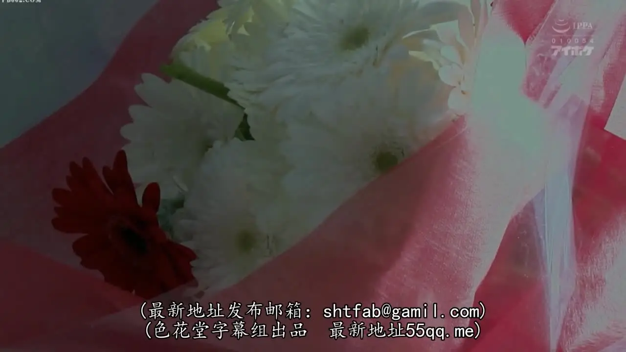 中文字幕 医院里的女神小姐姐很孝顺,嫩嫩肉肉活力肆意,心动挡不住搞到手抽插起伏纯纯从心底满足IPX149【水印】 new