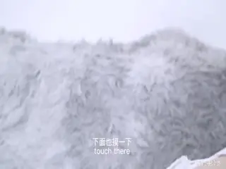 穿着白丝诱惑被就地正法!的。