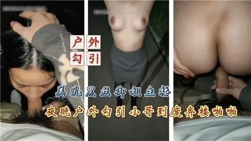 美乳黑丝御姐主播夜晚户外勾引小哥到废弃楼啪啪
