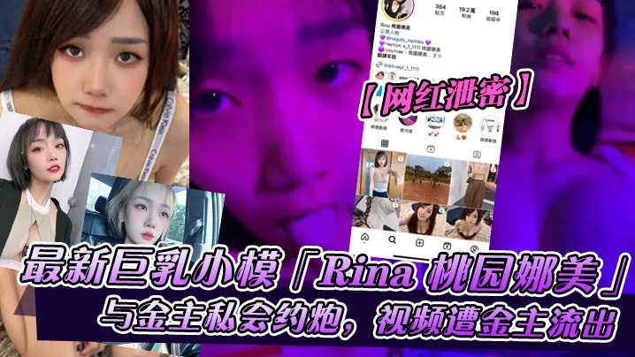 巨乳网红小模Rina桃园娜美被金主爆操内射私会视频泄密
