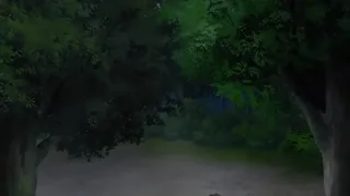 夜晚玩耍生活！_8