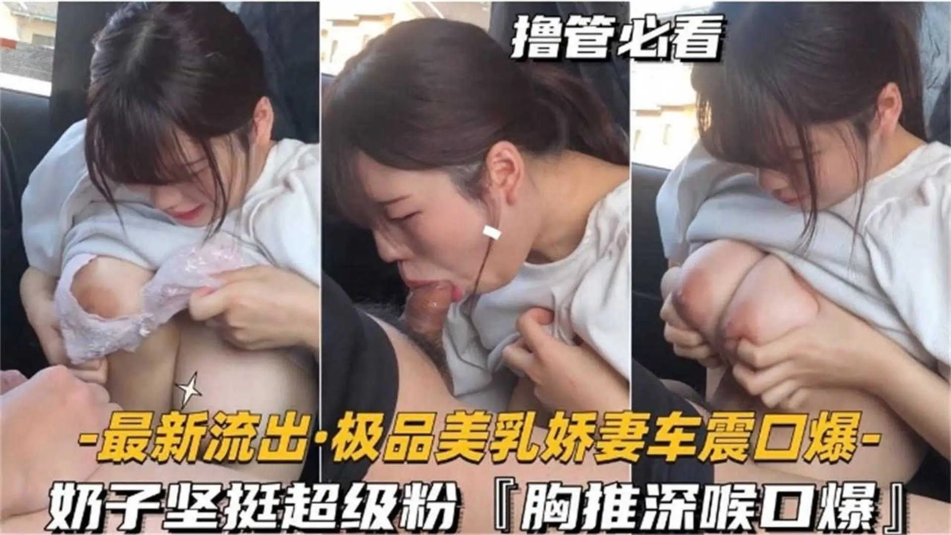 极品美乳娇妻车震口爆,奶子坚挺超级粉,胸推深喉口爆