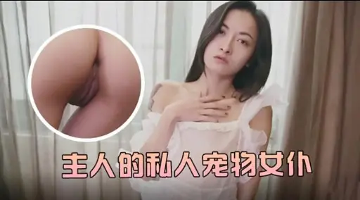 主人的私人宠物女仆