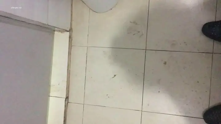 技术型大神坑妹子第六季!家庭浴室、出租屋趴窗偸窥多位妹子洗澡洗逼~年轻姑娘发育丰满极~27V~new 2