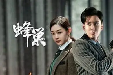 AI明星换脸与AI合成声AI-特殊电视剧之蜂巢宋轶-女间谍的特殊逼供