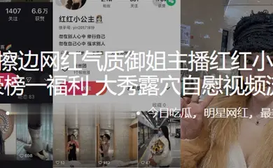 快手擦边网红气质御姐主播红红小公主，土豪榜一福利，大秀露穴自慰视频流出
