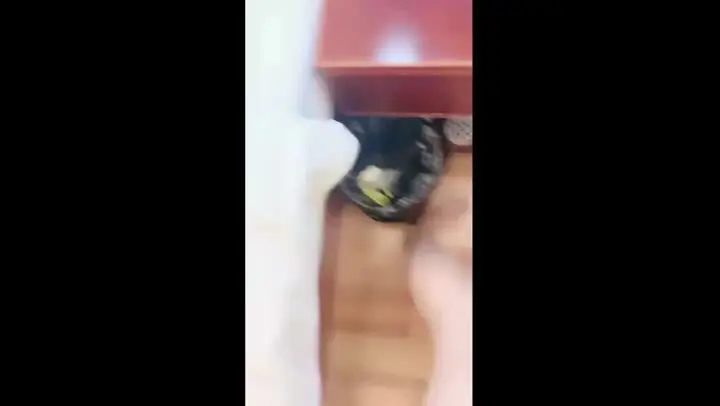 妹妹要来了，黑丝高跟露脸床上的极品淫娃跟小哥激情啪啪，让小哥吃奶舔逼淫水多多 new