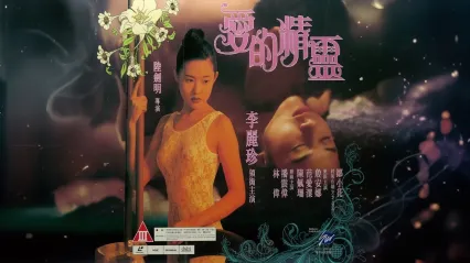 爱的精灵SpiritofLove1993LD 封面
