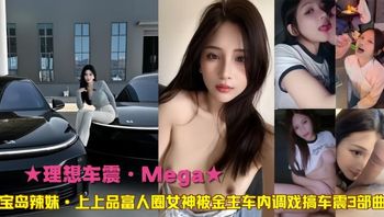 理想车震·富人圈女神车内调戏搞车震3部曲 封面