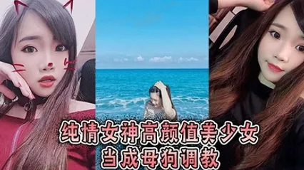 纯情女神高颜值美少女当成母狗调教 全集 封面