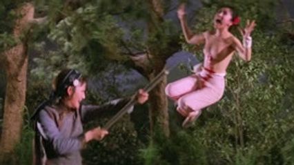 血芙蓉 国语无字幕 邵音音 陈萍 封面