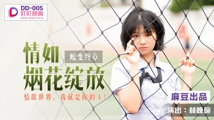 DD005 蜕变终章之情如烟花绽放 林晚琬 封面