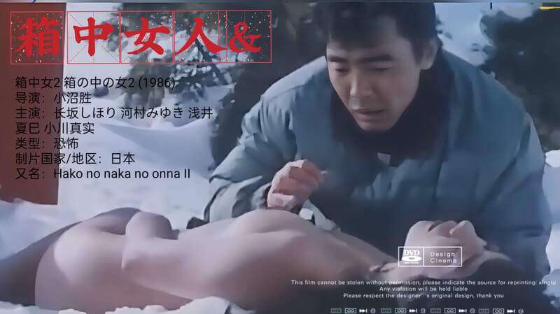 日本情色箱中美人：被禁锢的欲望，释放激情之夜