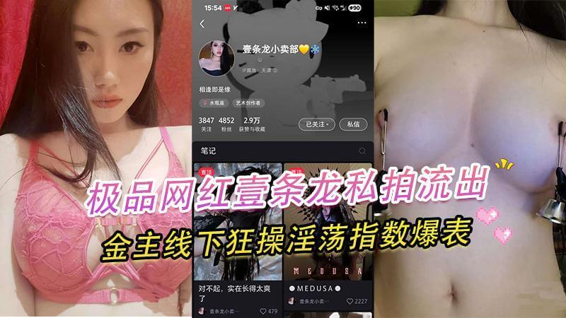 极品网红壹条龙私拍流出,金主线下宠爱,淫荡爆表