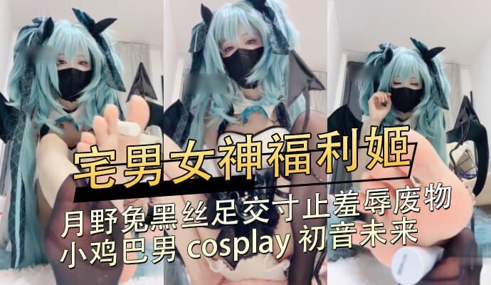 宅男女神月野兔，黑丝诱惑足交初音未来