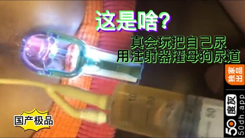 注射器灌尿：调教母狗的极致变态圣水游乐这是男S调教女M的极致玩法。