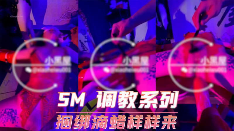 SM调教系列-捆绑、滴蜡样样来，享受被支配的快感，体验多样的刺激。在紧缚中感受冰火交融的冲击，臣服于绝对的权力之下，臣服于欲望的狂潮。这是一场身心的双重试炼，在痛与痒的边缘疯狂试探，臣服、屈从、迷失，最终沦陷在绝对的快感中。