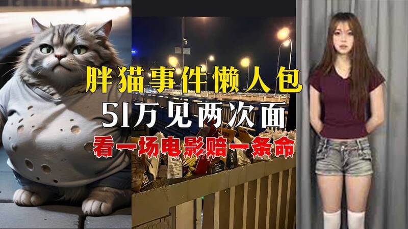 胖猫悲剧：年轻人沉迷捞女，遗愿仅求一口麦当劳？这是一个令人唏嘘的故事，一位年轻人因沉迷于网络上的捞女直播