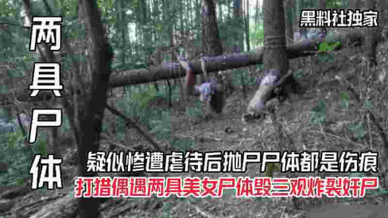 血腥美学，引出暗网深处的猎奇欲望